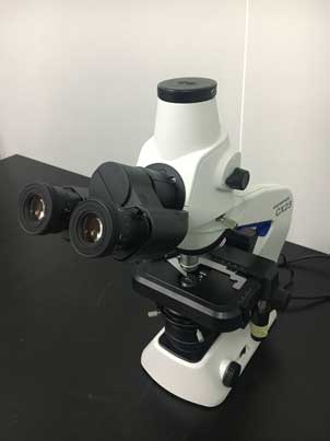 光学显微镜.jpg
