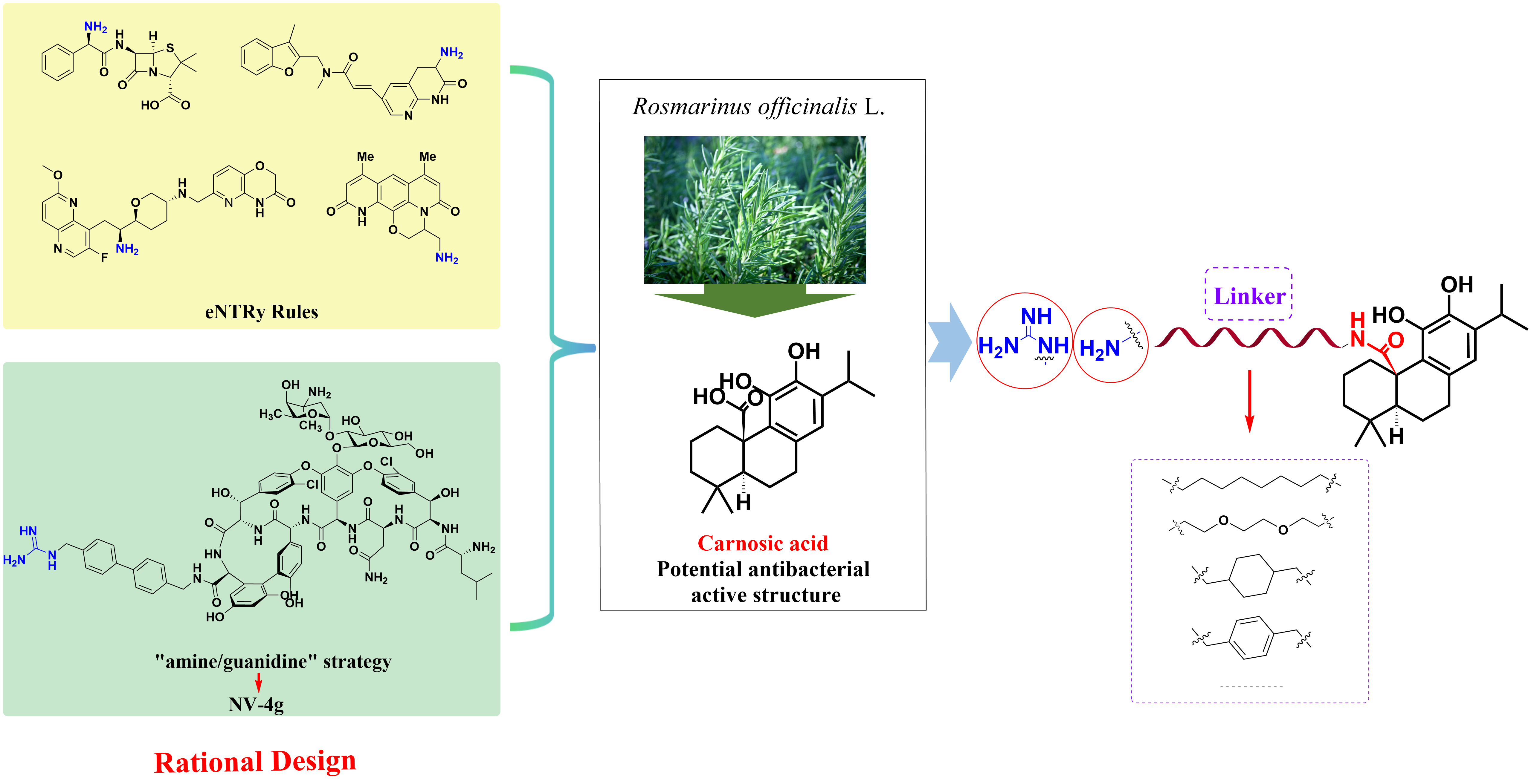 1759132133475887.png 1759132133475887.png